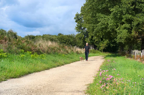 Homme Âgé Promenant Chien Sur Une Petite Voie Dans Nature — Photo