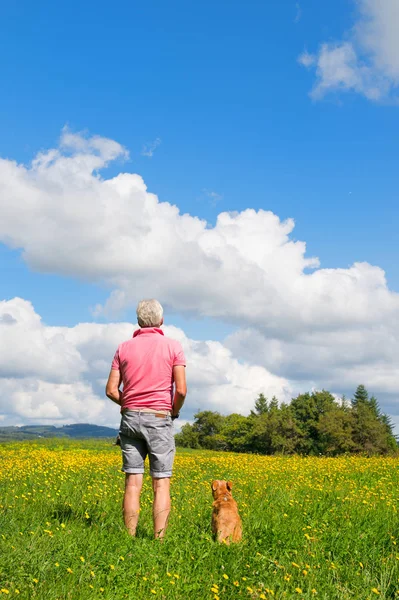 Senior Steht Mit Hund Der Landschaft — Stockfoto