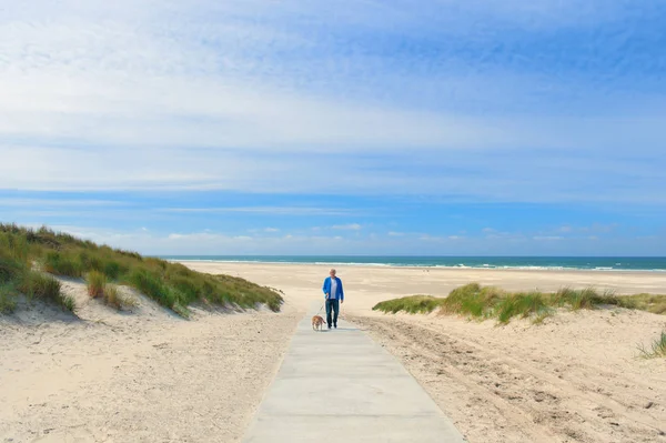 Man Walking Dog Beach Dutch Island Terschelling — Stock Photo, Image