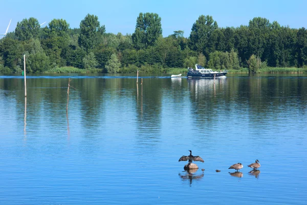 オランダの風景レクリエーション川ボートで野生の鳥 — ストック写真