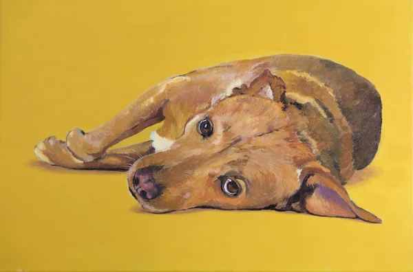 Malování, položení cross plemeno psa — Stock fotografie
