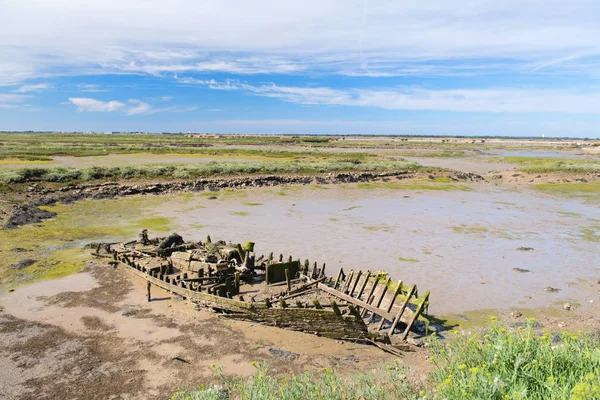 Carcass in bird sanctuary on Island Ile de Re — Stock Photo, Image