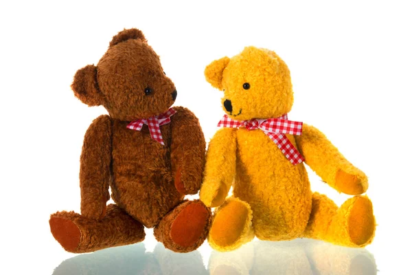 Фаршировані іграшки ведмеді — стокове фото