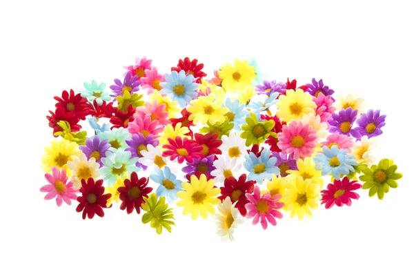 Renkli yaz çiçekleri — Stok fotoğraf