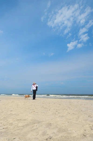 Ділова людина з собакою на пляжі — стокове фото
