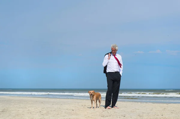 Zakenman met hond aan het strand — Stockfoto