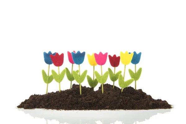 Row tulips in garden — Stock Photo, Image