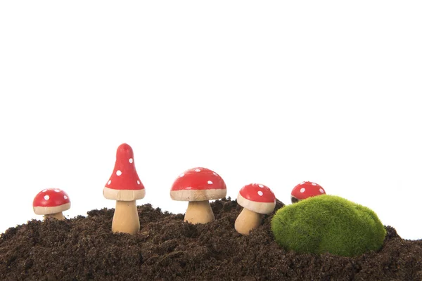 Украшение грибами — стоковое фото