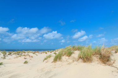 Kumulları ile Manzara boş plaj