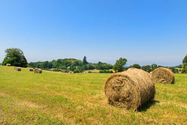 Krajobraz rolniczy z okrągłą Belą siana — Zdjęcie stockowe