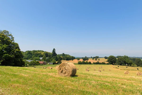 丸い干し草のベールを持つ農業風景 — ストック写真