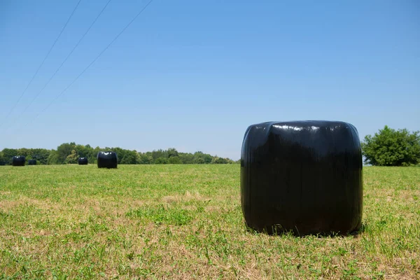 Paesaggio agricolo con balla di fieno — Foto Stock