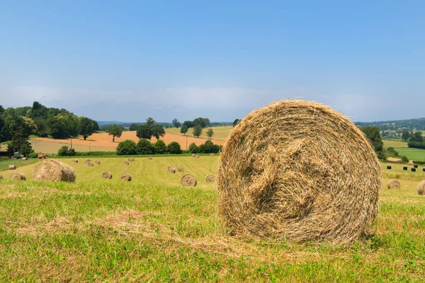 Agricultural landscape with round hay bale — Stock Photo, Image