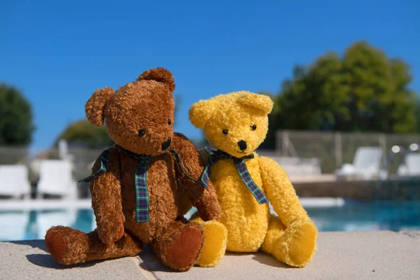 Пара медведей у бассейна — стоковое фото