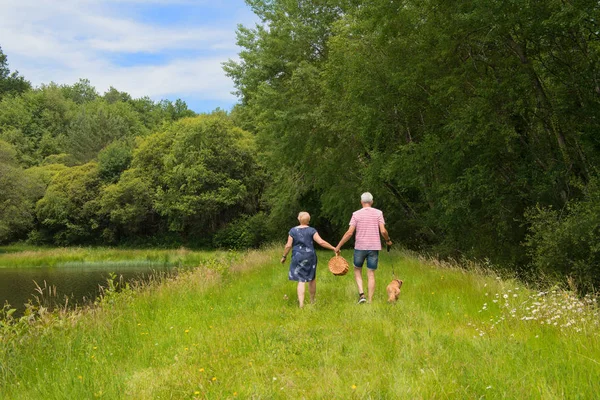 Älteres Paar picknickt draußen — Stockfoto