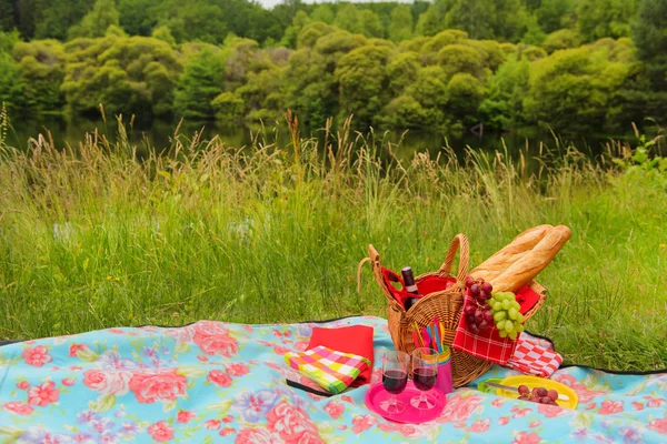 Avendo picnic estivo all'aperto — Foto Stock