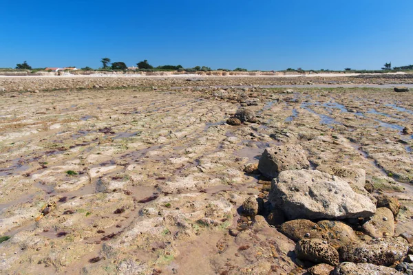 Pantai Ile de Re ebb ty — Stok Foto