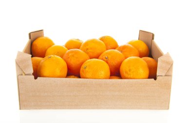 Karton sandık mandalina