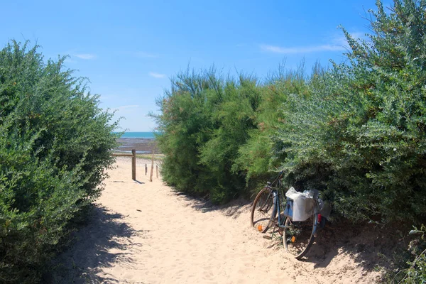 Praia Ile de Re — Fotografia de Stock