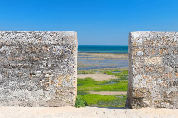 Ilha da costa norte Ile de Re — Fotografia de Stock