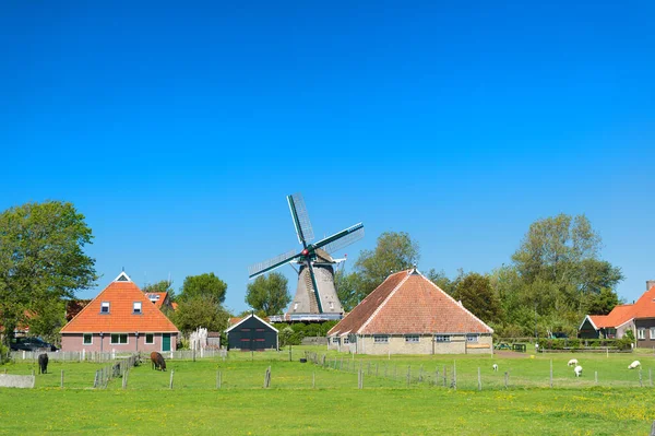 Paisaje holandés típico — Foto de Stock