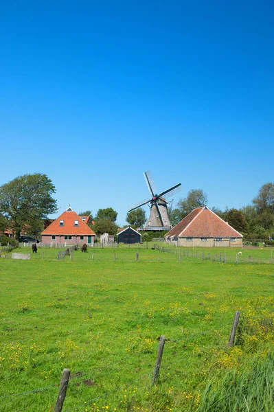 Typisch Hollands landschap — Stockfoto