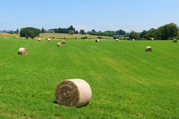 Frans Landschap Limousin Met Gerolde Hooibalen — Stockfoto