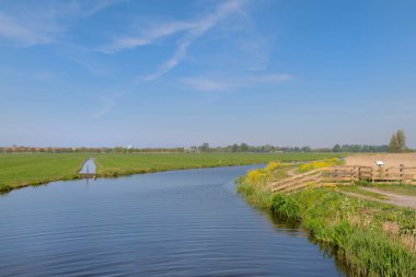 Hendek ve çayırları olan tipik Hollanda manzarası