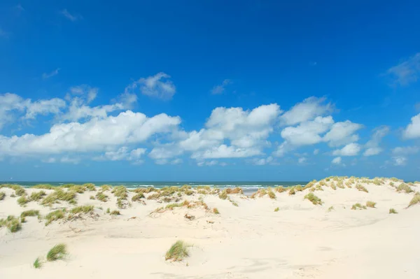 Wydmy Krajobrazowe Pusta Plaża Holenderskiej Wyspie Terschelling — Zdjęcie stockowe