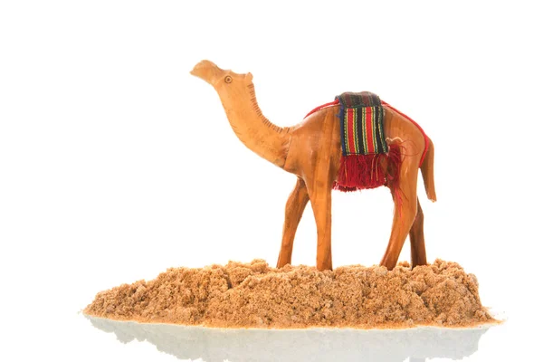Верблюд Десерт Изолированы Белом Фоне — стоковое фото