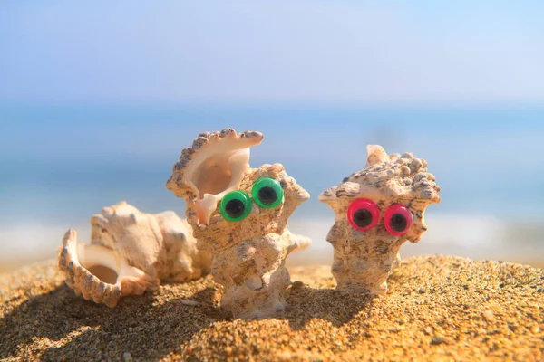 Funny Shells Eyes Beach Sea Background — Stock Photo, Image