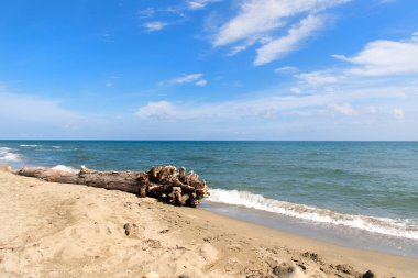 Enkazı olan Fransız Korsika kıyıları
