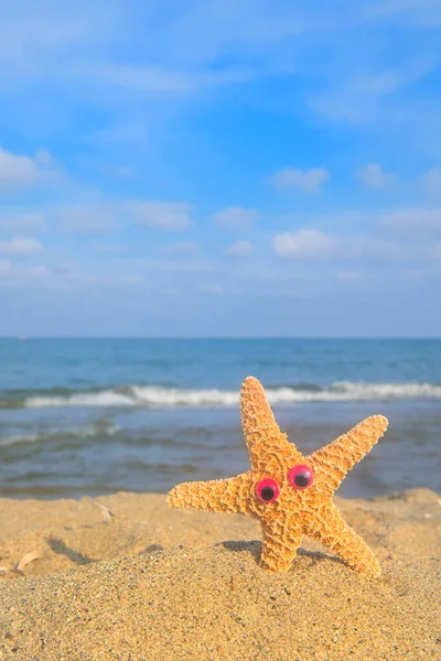 Divertidos Peces Estrella Con Ojos Playa Con Mar Fondo —  Fotos de Stock