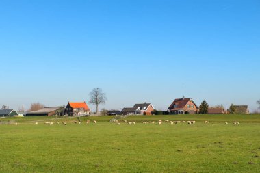 Eemdijk köyündeki Polder 'de tipik Hollanda manzarası