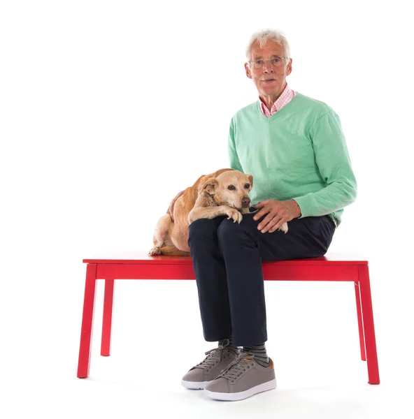 Hombre Mayor Con Perro Viejo Sentado Banco Aislado Sobre Fondo —  Fotos de Stock