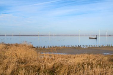 Eemmeer 'deki Polder' de tipik Hollanda manzarası