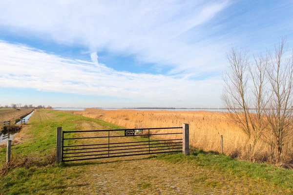 Tipico Paesaggio Olandese Polder Eemmeer — Foto Stock