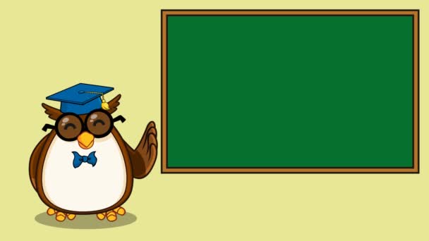 Owl Teacher with  School Chalk Board. — Stock Video
