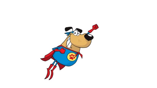 Brown Super héroe perro volando — Vídeos de Stock