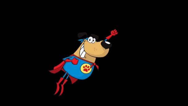 Brun super hjälte hund flyger — Stockvideo