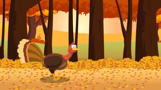 Thanksgiving Turkey Bird Cartoon Character Running — Stock Video