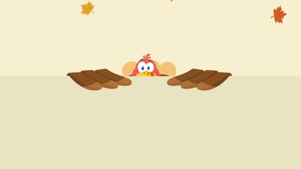 Thanksgiving Turkey Cartoon Mascot Characters Animation — Stock Video