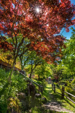 Japon tarzı bahçe kırmızı izni ile