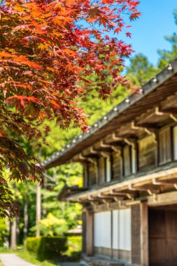 Kırmızı akçaağaç ile Japon ev