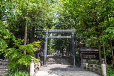 Japon Tapınağı dağ geçidi ormandaki