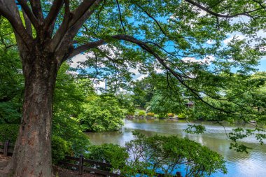 Görünümü, Shinjuku Gyo-tr, Japonya