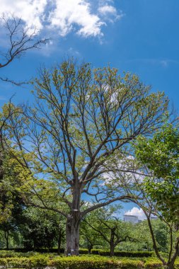 Görünümü, Shinjuku Gyo-tr, Japonya