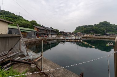 Japonya: Ehime Aoshima cat Island görünümü