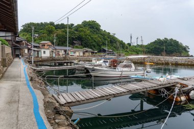 Japonya: Ehime Aoshima cat Island görünümü