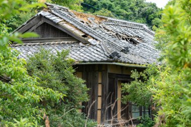 Japon tarzı ev kapak yaprakları ile